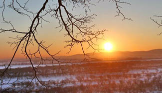 Morning scenery of wetlands along Wusuli River