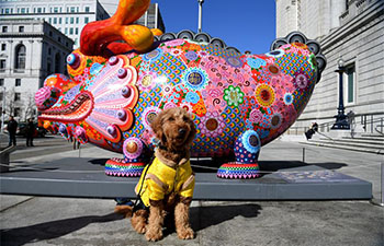 2018 Lunar New Year Celebration held at Asian Art Museum in San Francisco