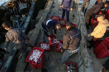 Daily life of Palestinian fishermen in Gaza