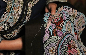 National intangible cultural heritage: horse tail embroidery of Shui people