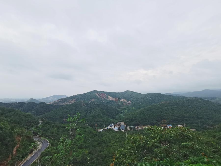 圍繞“十四五”規(guī)劃上海青年建言獻(xiàn)策 政府部門“零時(shí)差”回應(yīng)