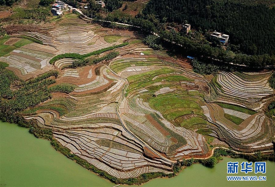 （春季美麗生態(tài)）（6）飛閱邊關(guān)山田春景