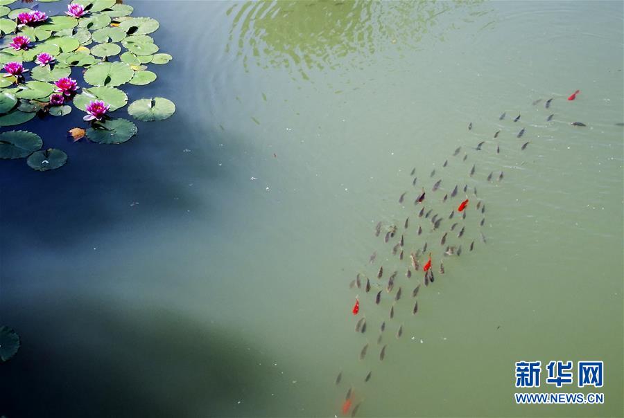 （美麗中國(guó)）（5）特色小鎮(zhèn)風(fēng)光美