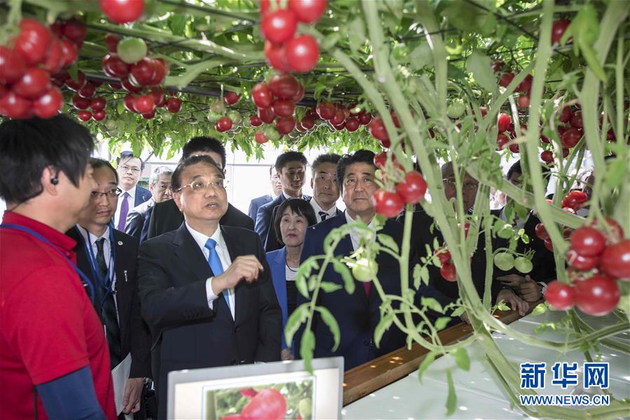 （時政）李克強參觀北海道惠庭市現(xiàn)代生態(tài)農(nóng)場