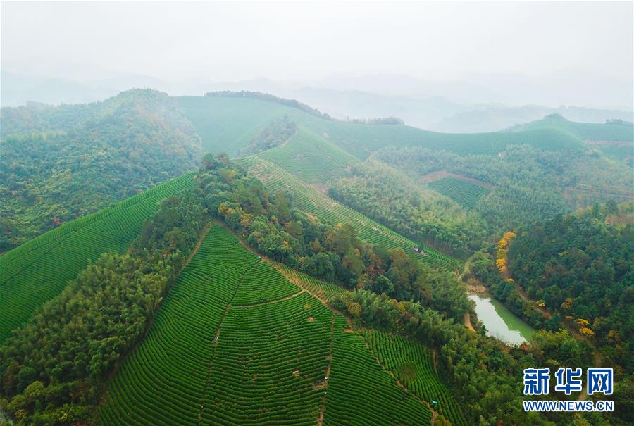 （圖文互動(dòng)）（5）建設(shè)好生態(tài)宜居的美麗鄉(xiāng)村——從“千萬(wàn)工程”看習(xí)近平生態(tài)文明思想的生動(dòng)實(shí)踐和世界回響