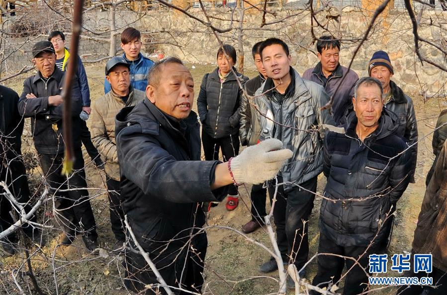 （改革先鋒風(fēng)采·圖文互動）（2）李保國：開創(chuàng)山區(qū)扶貧新路的“太行山愚公”