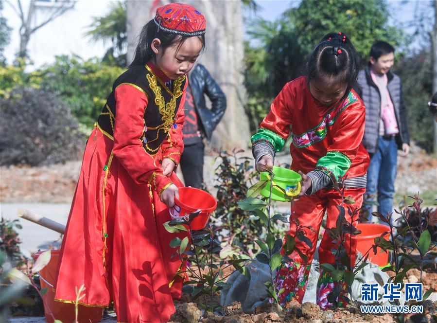 （社會(huì)）（1）多民族兒童共迎植樹(shù)節(jié)