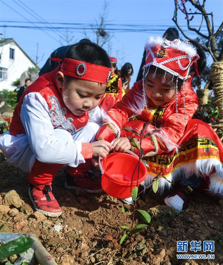 （社會）（3）多民族兒童共迎植樹節(jié)