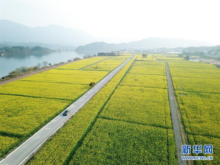 （新華全媒頭條·兩會精神看落實(shí)·圖文互動(dòng)）（4）保持戰(zhàn)略定力 跨越重要關(guān)口——落實(shí)兩會精神加強(qiáng)生態(tài)文明建設(shè)述評