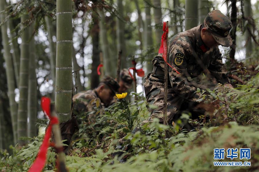 （圖文互動(dòng)）（1）永不遲到的祭奠——追尋1343座無(wú)名紅軍墓背后的故事