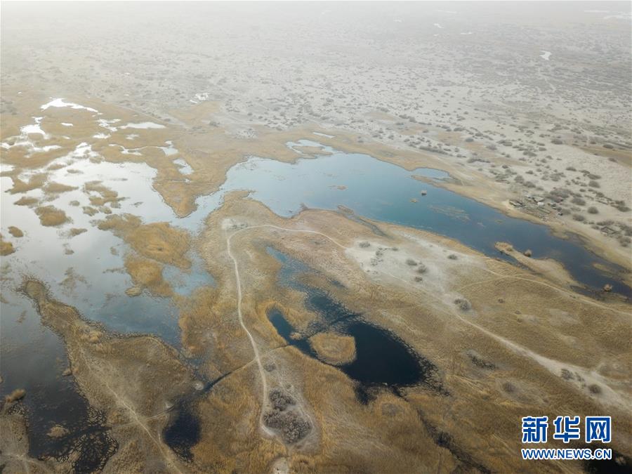 （圖文互動(dòng)）（4）海子里的牧羊人見證中國最長內(nèi)陸河生態(tài)變遷