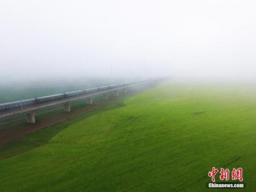 資料圖：動車組穿越雨霧中的油菜花海宛若穿越時空。 楊艷敏 攝