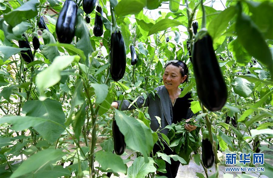 （請以此說明為準(zhǔn)）（圖文互動(dòng)）（1）革命圣地延安告別絕對貧困