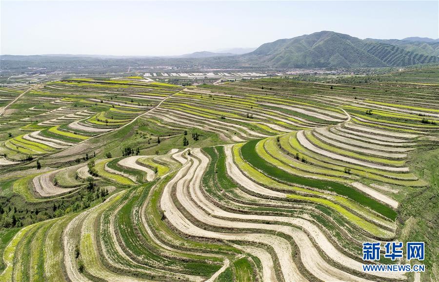 （新華全媒頭條·壯麗70年·奮斗新時(shí)代·圖文互動(dòng)）（6）中國(guó)減貧的西海固報(bào)告