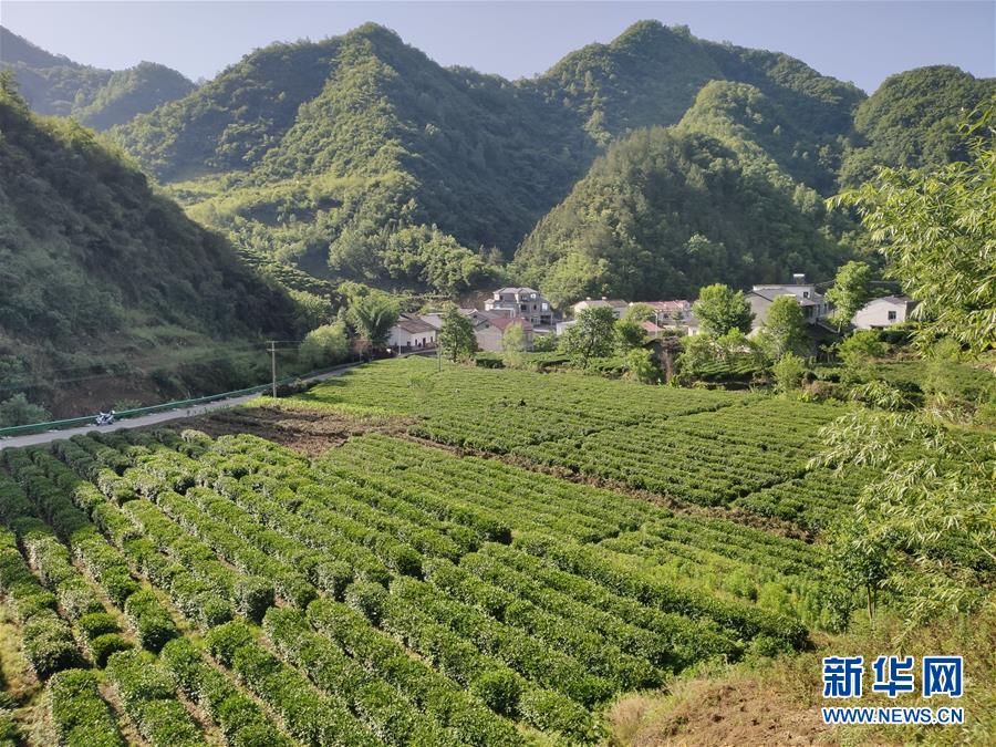 （圖文互動）（1）漢江畔崛起生態(tài)城——來自南水北調中線核心水源地的調查報告