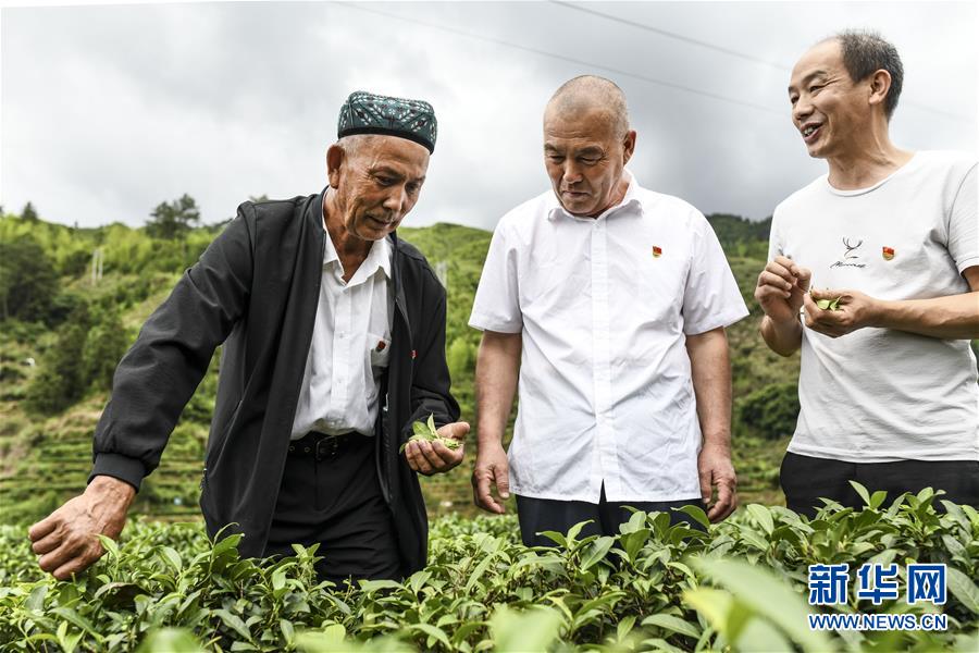 （新華全媒頭條·圖文互動）（7）同心援疆，“壯闊”祖國西北角