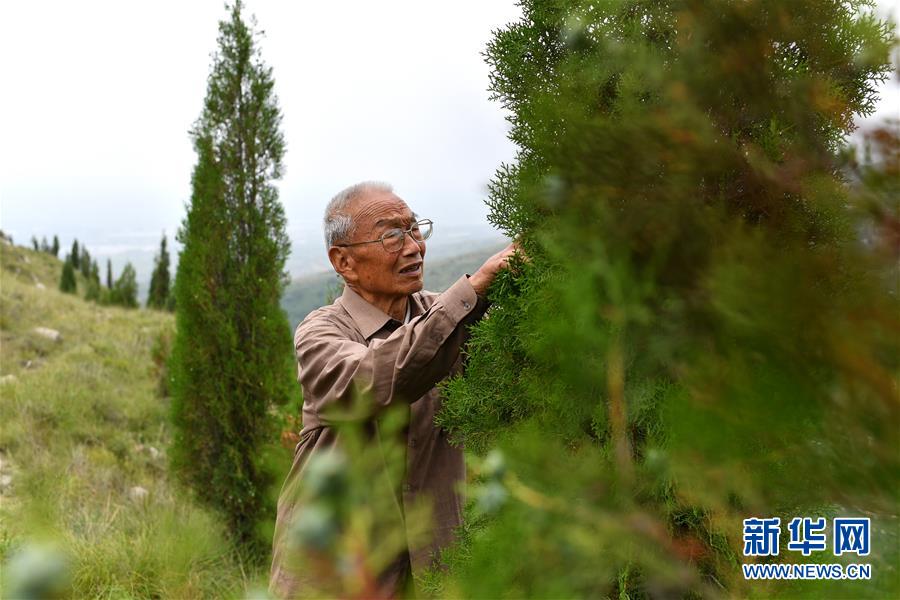 （在習(xí)近平新時代中國特色社會主義思想指引下——新時代新作為新篇章·圖文互動）（5）中條山下綠意濃——一個“資源窮縣”的生態(tài)發(fā)展之路