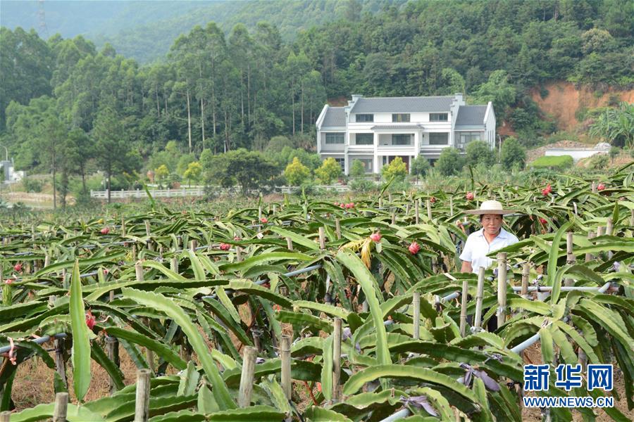 （在習近平新時代中國特色社會主義思想指引下——新時代新作為新篇章·總書記關心的百姓身邊事·圖文互動）（6）大污染變身“大寶藏”：治理畜禽糞污，他們這樣干！