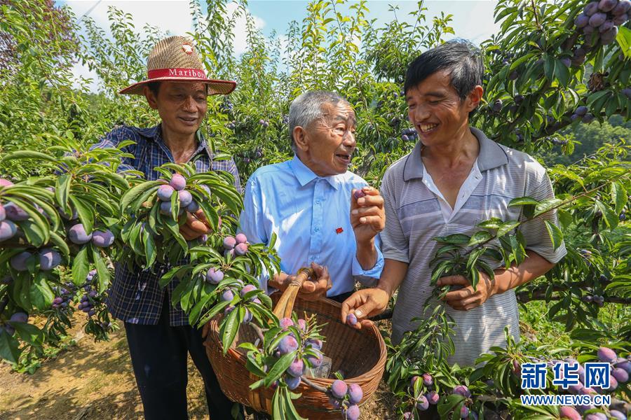 （新華全媒頭條·圖文互動(dòng)）（1）凝聚民族復(fù)興的精神偉力——以習(xí)近平同志為核心的黨中央重視思想道德建設(shè)關(guān)心關(guān)愛(ài)道德模范紀(jì)實(shí)