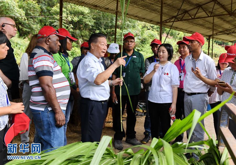 （不忘初心、牢記使命·圖文互動）（5）拳拳寸草心 濃濃報國情——記“菌草之父”林占熺