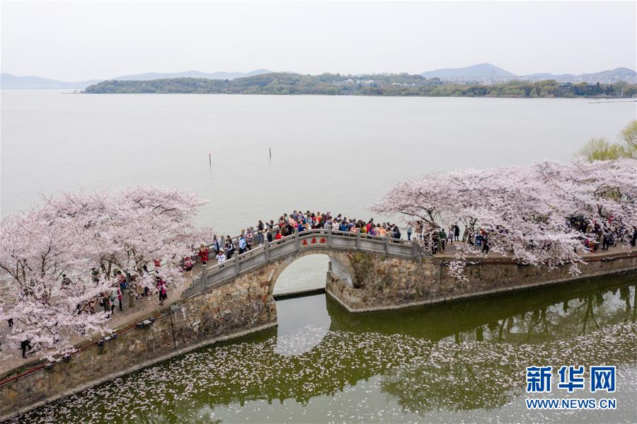 （新華全媒頭條·圖文互動）（8）大湖見證——長三角三大淡水湖綠色發(fā)展之路