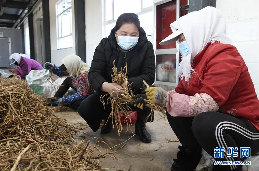 （新華全媒頭條·圖文互動）（2）特殊時期，他們這樣履職——全國人大代表這個春天在行動