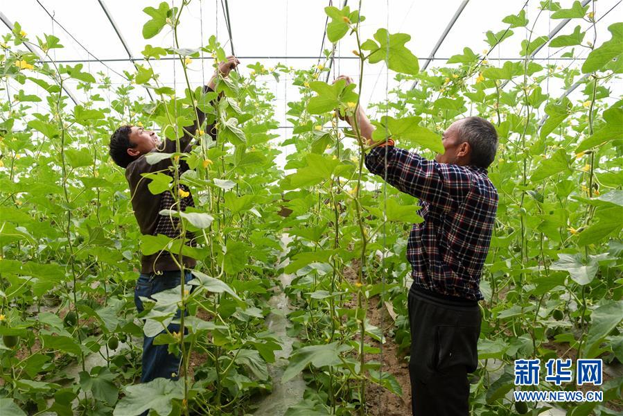 （決戰(zhàn)決勝脫貧攻堅·圖文互動）（11）決戰(zhàn)昆侖——新疆聚焦10個未摘帽縣展開深度貧困攻堅戰(zhàn) 