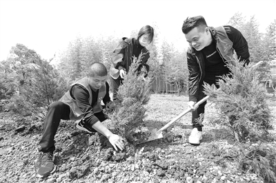 植樹添綠正當時