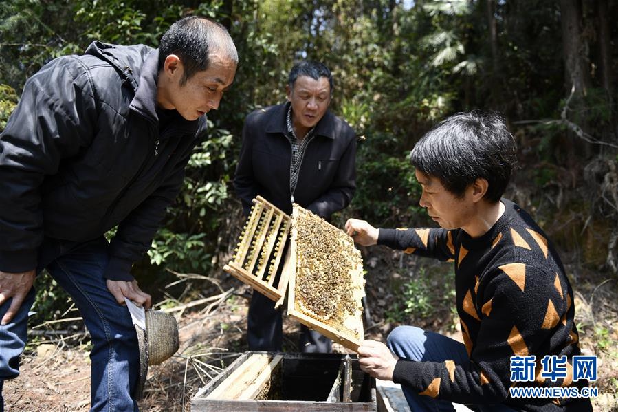 （決戰(zhàn)決勝脫貧攻堅(jiān)·圖文互動(dòng)）（5）一位農(nóng)民的產(chǎn)業(yè)扶貧成績(jī)單 