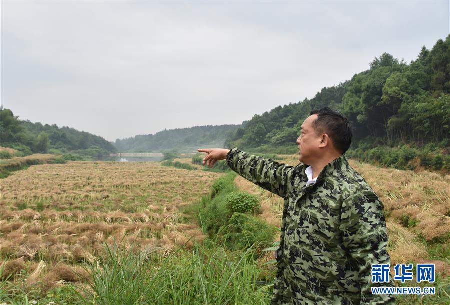 （代表委員履職·圖文互動(dòng)）（2）“我是農(nóng)民代表，始終關(guān)注農(nóng)村”——全國(guó)人大代表沈昌健的履職故事