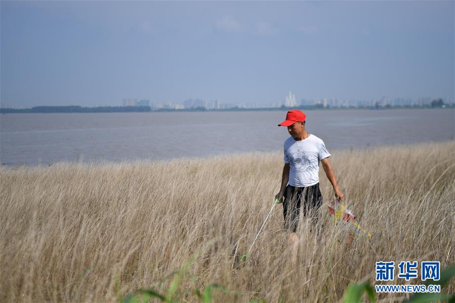 （新華全媒頭條·圖文互動(dòng)）（7）大湖新歌——我國兩大淡水湖全面生態(tài)修復(fù)進(jìn)行時(shí)