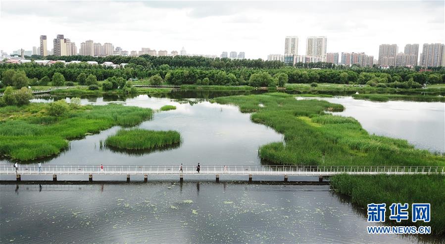 （走向我們的小康生活·圖文互動(dòng)）（1）水清、地綠、空氣新——最北省份黑龍江繪就生態(tài)治理新畫(huà)卷