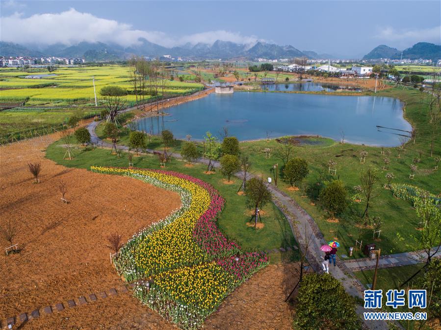 （新華全媒頭條·圖文互動）（7）生態(tài)文明之光照耀美麗中國——寫在綠水青山就是金山銀山理念提出15周年之際