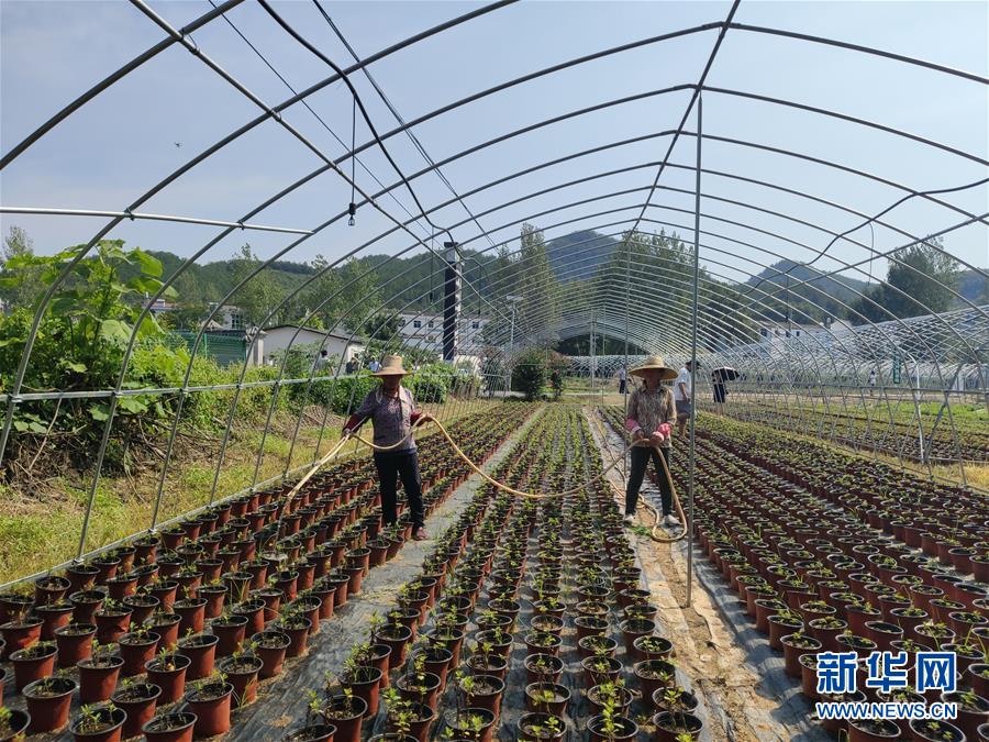 （決戰(zhàn)決勝脫貧攻堅(jiān)·圖文互動）（3）安居樂業(yè)并重，搬遷脫貧同步——湖北88萬搬遷群眾脫貧觀察 