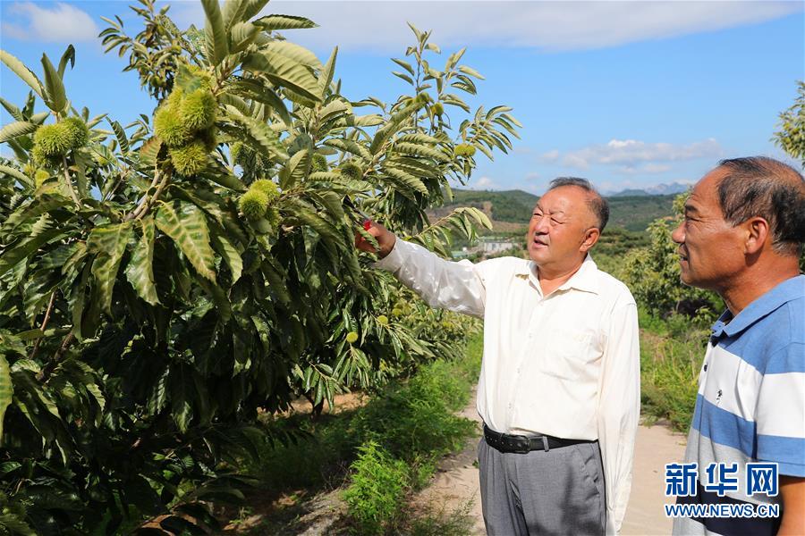 （新華全媒頭條·走向我們的小康生活·圖文互動(dòng)）（11）長(zhǎng)城腳下，小康村串成“珍珠鏈”