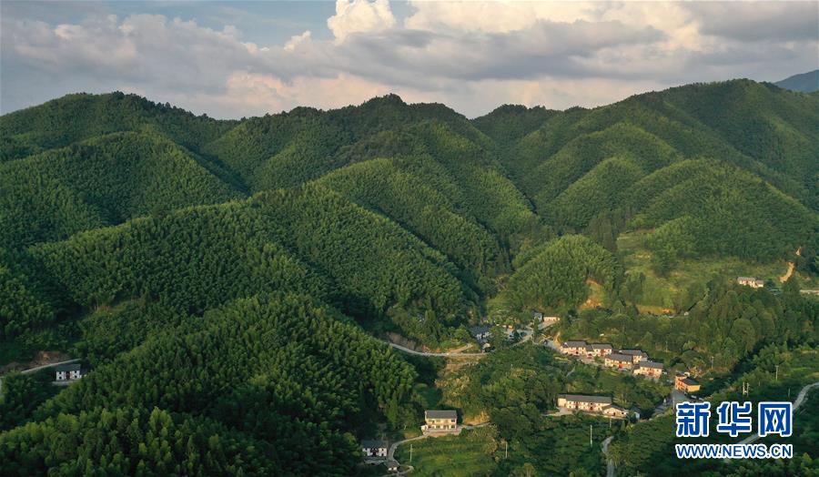 （新華全媒頭條·走向我們的小康生活·圖文互動）（2）神山村“神奇”何在？——井岡山深處覓答案