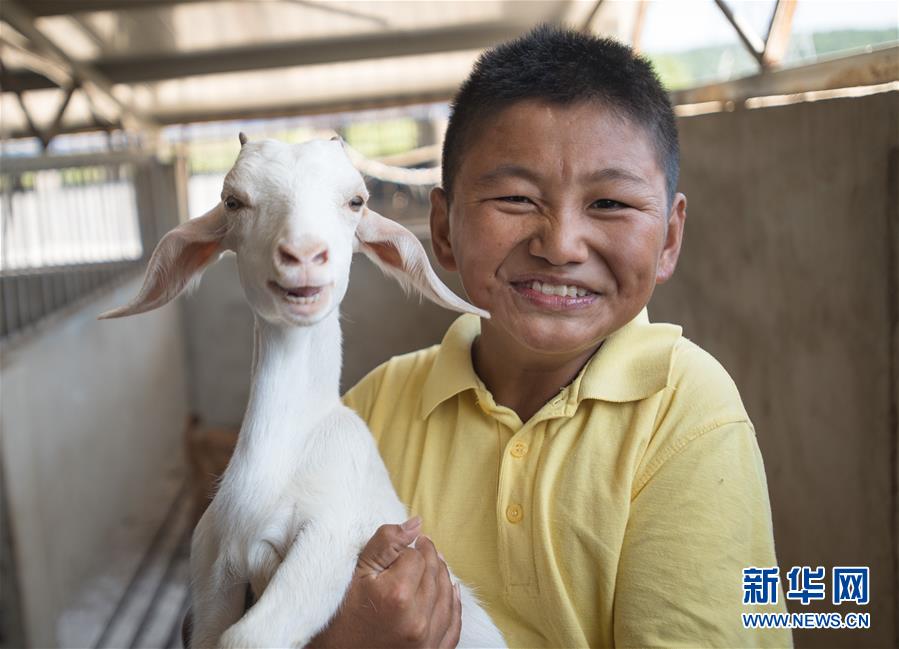 （新華全媒頭條·走向我們的小康生活·圖文互動）（5）特殊之年，荊楚大地書寫不平凡的答卷