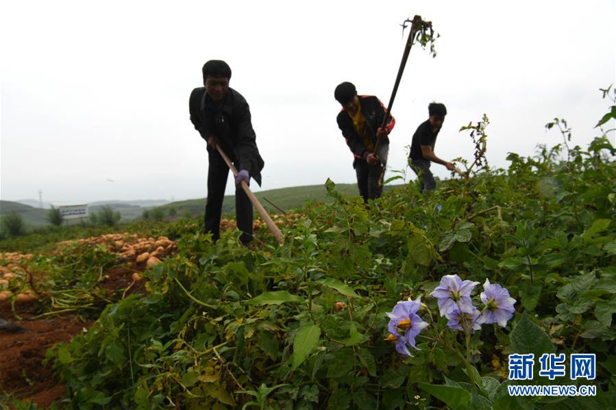 （新華全媒頭條·走向我們的小康生活·決戰(zhàn)決勝脫貧攻堅·圖文互動）（6）昭通之變——全國貧困人口最多的地級市跨越記