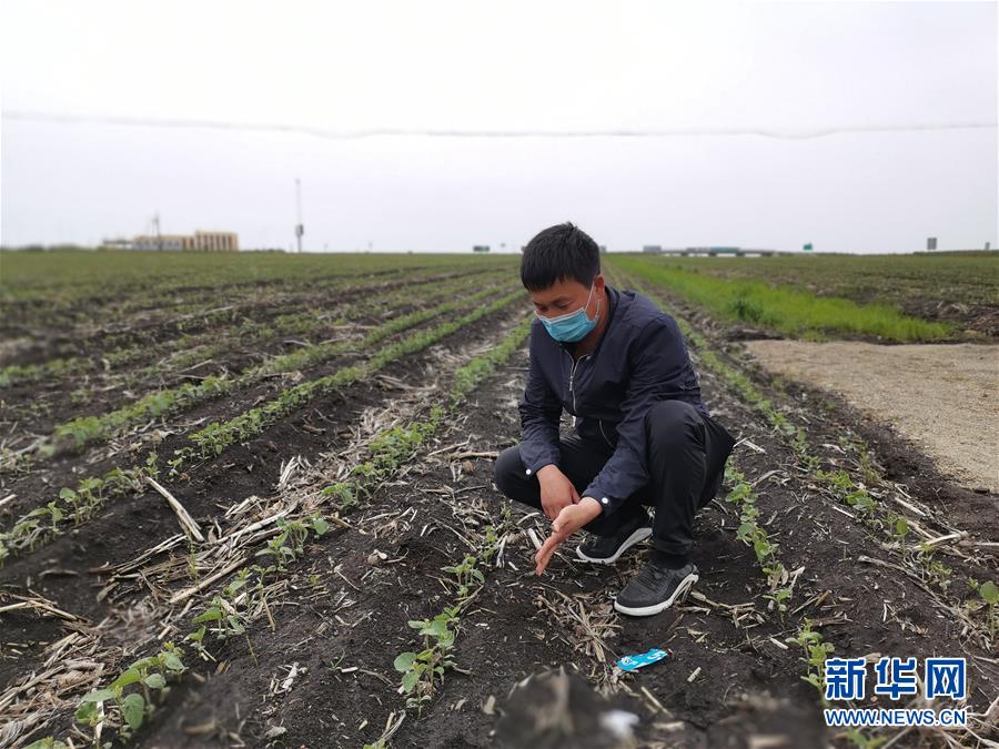 （在習(xí)近平新時(shí)代中國特色社會(huì)主義思想指引下——新時(shí)代新作為新篇章·習(xí)近平總書記關(guān)切事·圖文互動(dòng)）（4）讓百姓吃得飽還要吃得好——夯實(shí)糧食安全基礎(chǔ)端牢中國飯碗