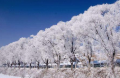 全國初雪時間表出爐 看看你離初雪還有多遠(yuǎn)？