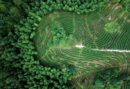 福建龍巖：高效用地，提升生態(tài)環(huán)境水平