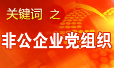 王京清：非公企業(yè)建立黨組織服務(wù)企業(yè)發(fā)展、服務(wù)員工