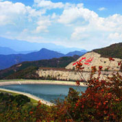 蟒山國家森林公園