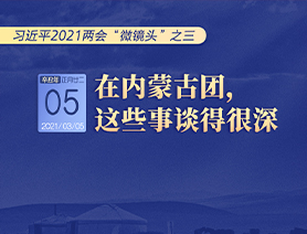 習(xí)近平2021兩會(huì)“微鏡頭”之三 3月5日 在內(nèi)蒙古團(tuán)，這些事談得很深