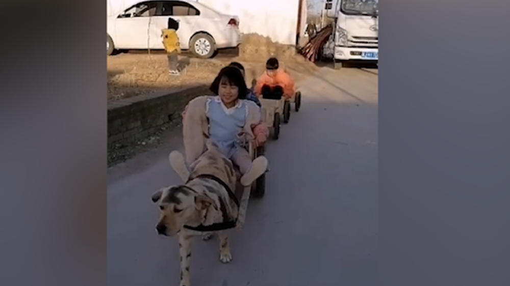 男子給孩子做縮小版小火車，家里的狗狗做動力拉著孩子上學