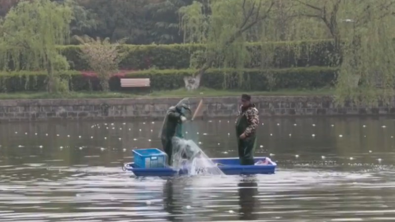 別人家的學校！安師大請師生吃一萬斤魚