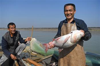 鄱陽(yáng)湖：人歡魚(yú)躍冬捕忙